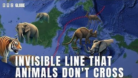 Invisible line that Animals, Fish even Birds Refuse to cross!
