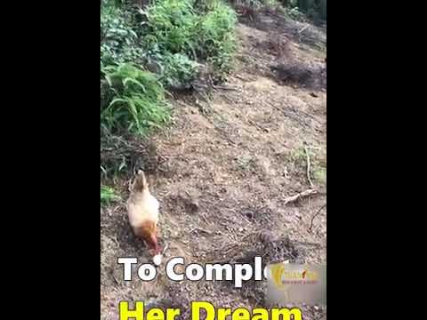 علمت أن رزقي لن يأخذه غيري فاطمان قلبي