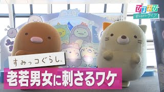 【ひるおび】大人もハマる！誕生１０周年 リアリティーが共感呼ぶ『すみっコぐらし』大特集