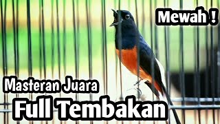 MASTERAN MURAI BATU FULL ISIAN TEMBAKAN CILILIN KENARI KAPAS TEMBAK CUCAK JENGGOT KEREN