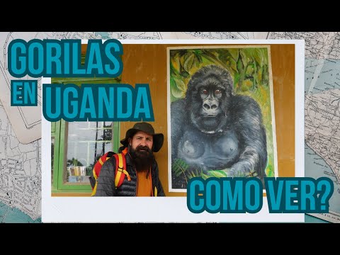 Video: Cómo hacer un trekking de gorilas en Ruanda