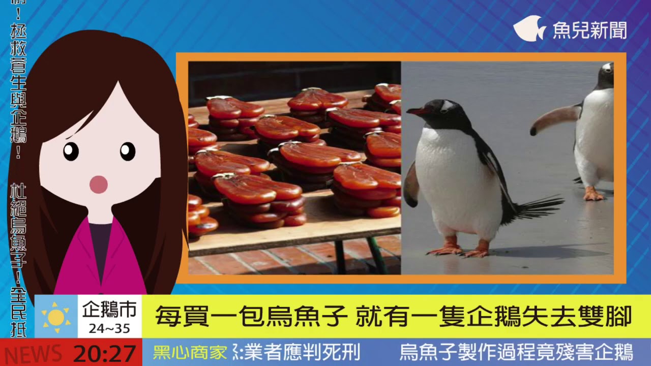 防制網路謠言短片競賽佳作 企鵝與烏魚子 Youtube