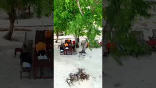 Pura Vita Resort in Koh Rong Island #kohrongisland #beach