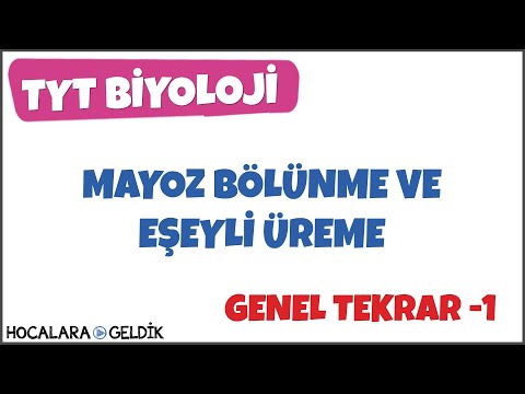 Mayoz Bölünme ve Eşeyli Üreme