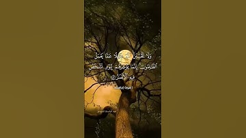 #quran #راحة_نفسية #تلاوة_خاشعة #قرآن #اكسبلور #لايك #حالات_واتس