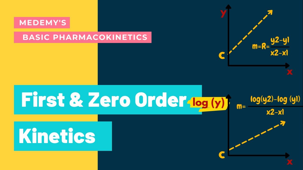 First & Zero Order Basic YouTube