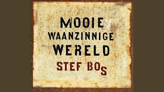 Video thumbnail of "Stef Bos - Narrenschip"