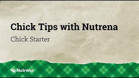 Chick Tips with Nutrena: Feeding Chick Starter
