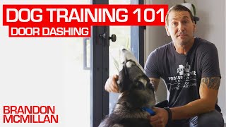 Dog Training 101: Door Dash | Brandon McMillan