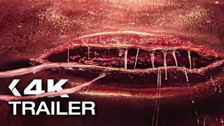 Celebrity TEENAGE SEX AND DEATH AT CAMP MIASMA Trailer (2026) Net Worth