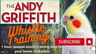 Download lagu Andy Griffith Theme Whistle training for your pet birds - 1 hour training loop!