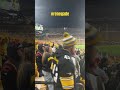 The Greatest Minute at a Sporting Event!  #steelersnation #renegade #nfl