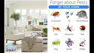 Ever Pest Advanced Pest Control - Ultrasonic Pest Repeller