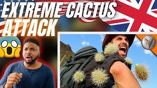 🇬🇧brit reacts to extreme cactus attack!