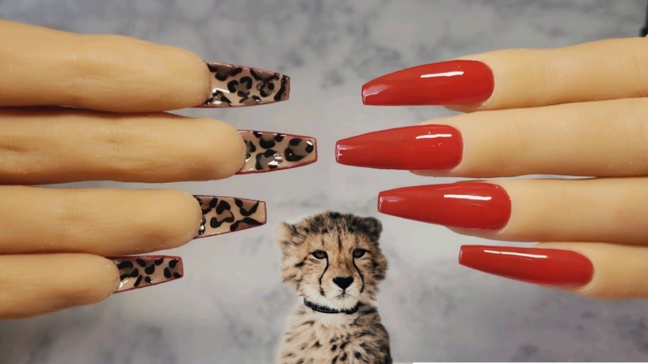 Uñas Rojas con Leopardo al reverso🐆 - thptnganamst.edu.vn