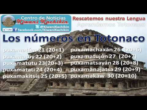 Los números en Totonaco - YouTube