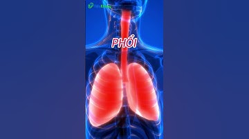 8 khung giờ thải độc của cơ thể mà bạn cần biết #tienkhang #short