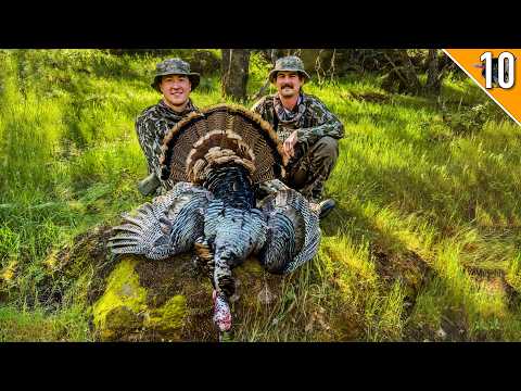 California Turkey Hunting w/ Howl for Wildlife!