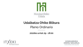 Udalbatza Ohiko Bilkura / Pleno ordinario - 2020/10/29 18:00