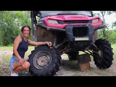 Red, White & Bayou | Shade Tree Mechanic
