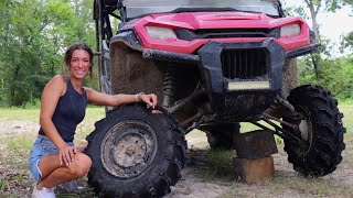 Red, White & Bayou | Shade Tree Mechanic