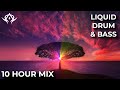 Liquid Drum and Bass Mix 252 (10 Hour Mix)