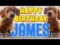 Happy Birthday James! ( Funny Talking Dogs ) What Is Free On My Birthday