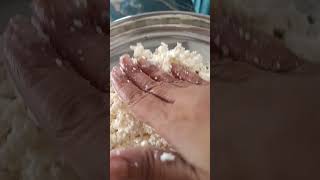 rasgulla making video #personalvlogs #howtomakerasgulla #rasgulla
