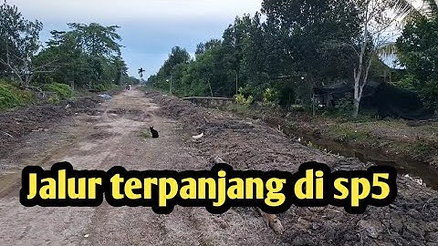 5 oktober 2025