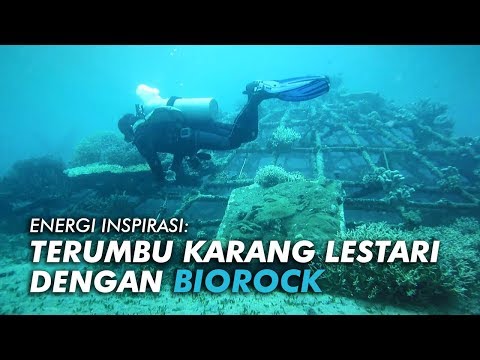 Video: 7 Tabir Surya Aman Terumbu Karang Untuk Melindungi Terumbu Karang