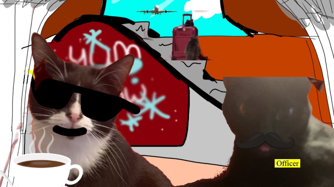 If Cats Ran an Airport - YouTube