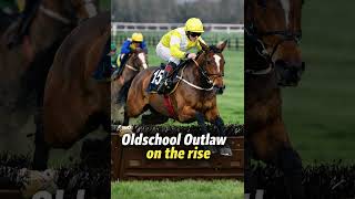 JP McManus buys a Cheltenham festival contender Profile