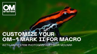 Customize Your Om-1 Mark Ii For Macro Photography With Photographer Tibor Molnar