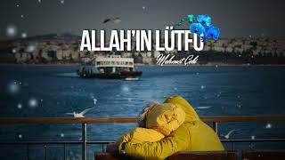 Şirin Bilse, Belkıs Görse, Leyla Duysa, Zühre Baksa...-Hüsameddin Bayraklı (Mehmet Çebi)