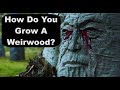 What Are Weirwood Seeds? And How Do You Grow A Weirwood?