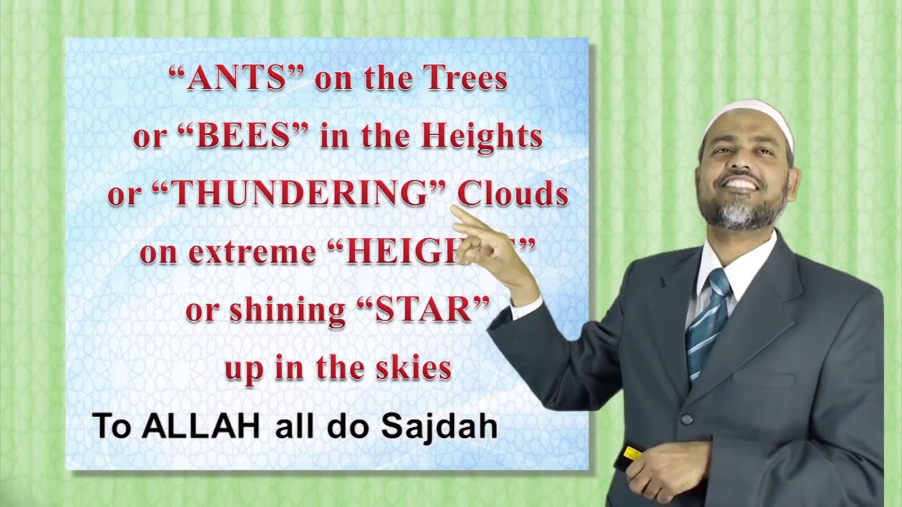 Memorize surah names in Quran with 14 sajdah | Engslih