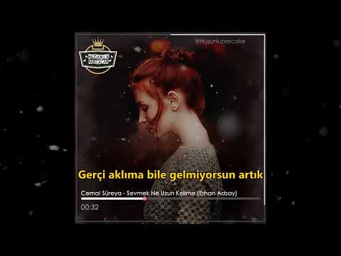 Cemal Süreya - Sevmek Ne Uzun Kelime (Erhan Adsay)