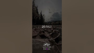 خشوع يُبكي القلب وجمال يُريح النفس من أروع تلاوات الشيخ محمد بدر حسين 🕊️