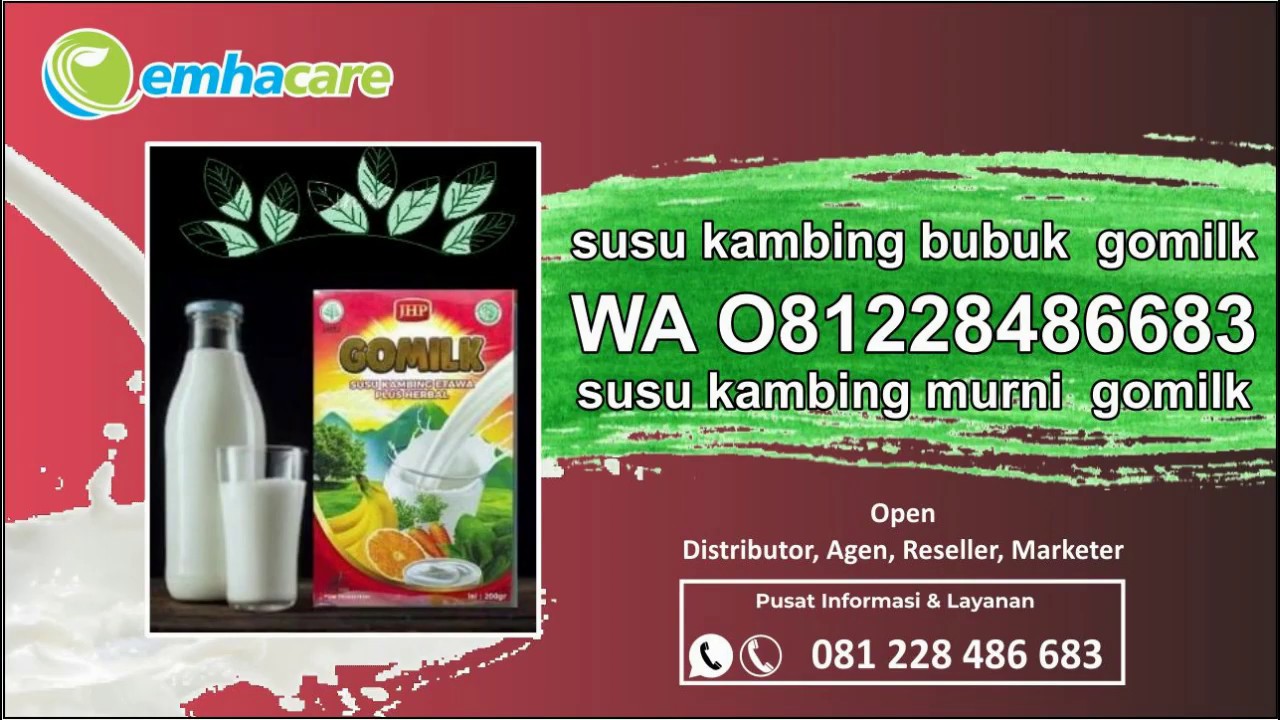 susu kambing etawa gomilk WA O81228486683, susu kambing bubuk gomilk