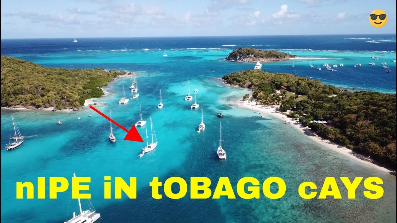 The Most Beautiful Place in Caribbean - Tobago Cays - Sailing Nipe EP 15