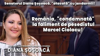 Diana Șoșoacă a devenit „inamicul public numărul 1” al PNL și PSD.