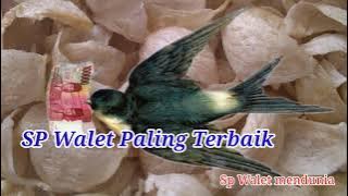 Sp walet paling terbaik, Sp walet mendunia