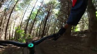Spank stem / few rides for testing.
