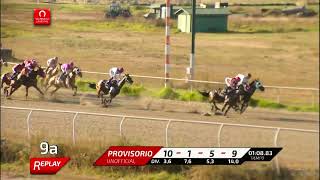 Vidéo de la course PMU IGUALITO HANDICAP