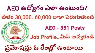 851 AEO Posts Job Profile(Work,Salary,Pramotions) | TSPSC Agriculture Extension Officer Jobs