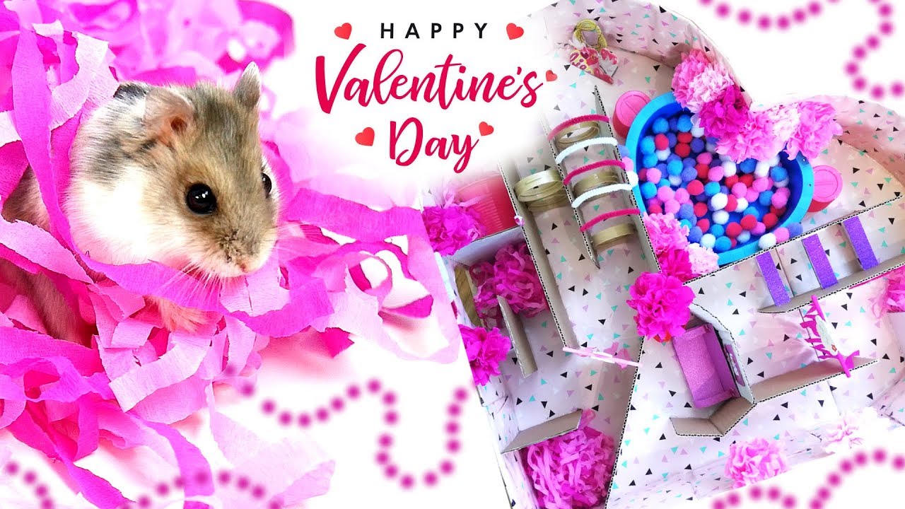 ❤️ отслеживать Дорожка хомяка Валентина 🐹 Hamster Race