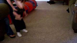 Ethan's First Steps 2
