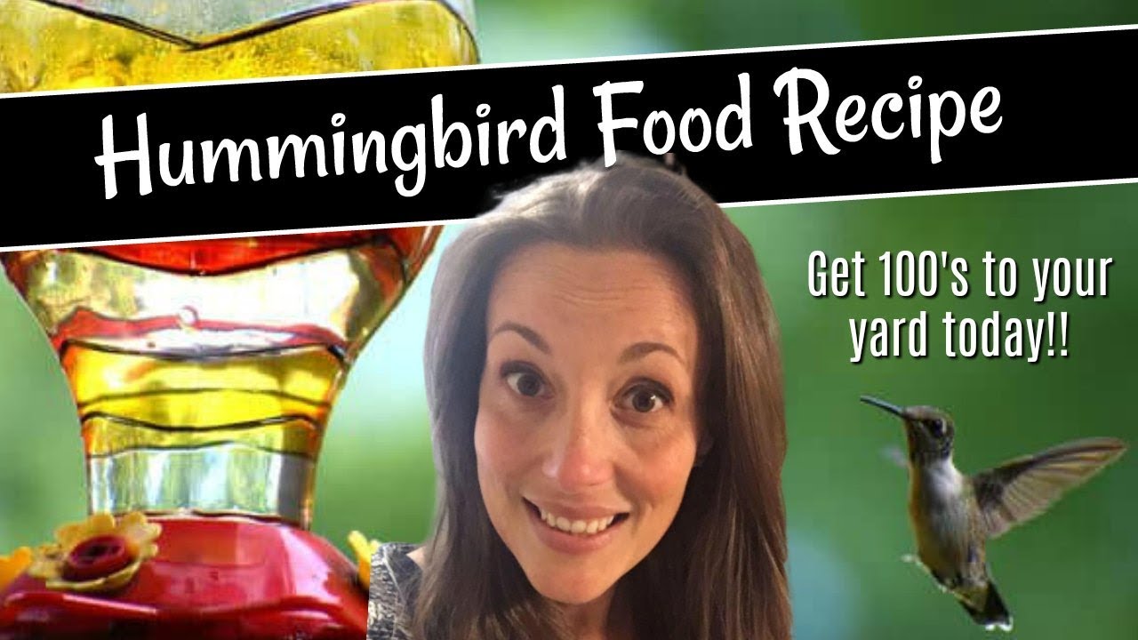 How to Make Hummingbird Food Using TWO INGREDIENTS! YouTube