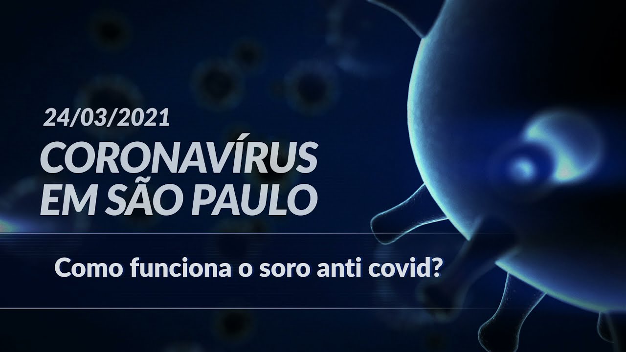 Soro contra a Covid-19 feito com plasma de cavalo será testado em