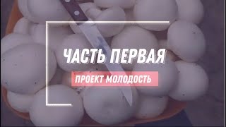 Шампиньоны. Выращивание шампиньонов Личный опыт, часть первая👍